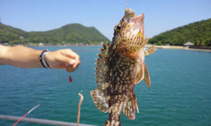 Fishing in Okinawa